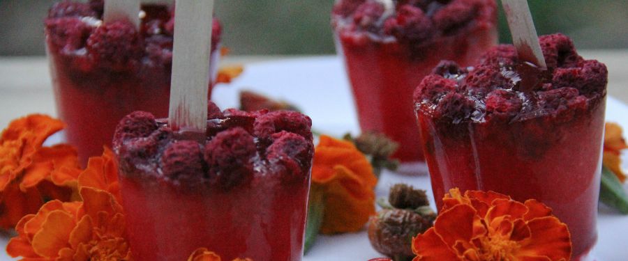 Rose Hip and Raspberry Popsicles | Growing Up Herbal | Yum! These herbal popsicles are easy to make and will hit the spot on a hot summer day!