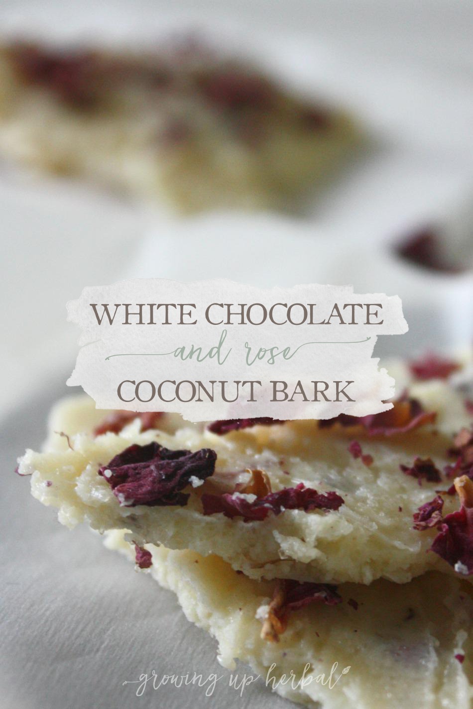 White Chocolate & Rose Coconut Bark | Growing Up Herbal | Looking for a sweet chocolate dessert for Valentine's Day that isn't pure junk for your kids? You've found it!