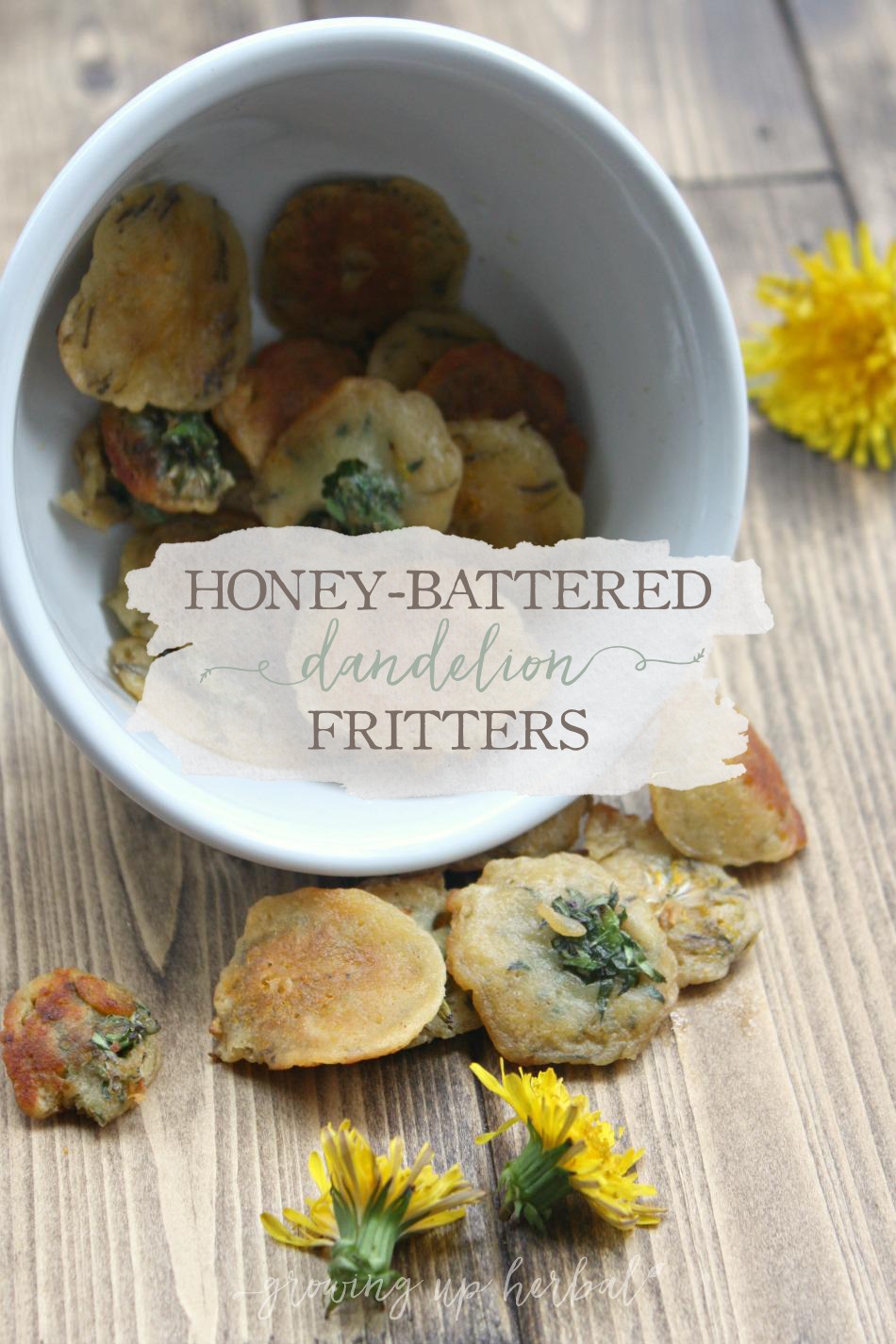 Honey-Battered Dandelion Fritters | Growing Up Herbal | Enjoy some of spring's goodness. Eat wild dandelion flowers in my version of this most famous recipe.