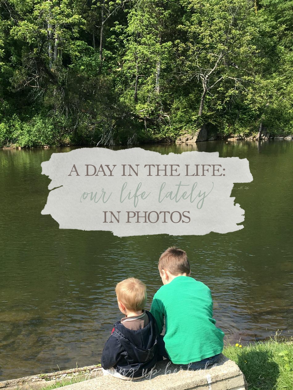 A Day In The Life: Our Life Lately In Photos | Growing Up Herbal | Here's some of what we've been up to this past month!