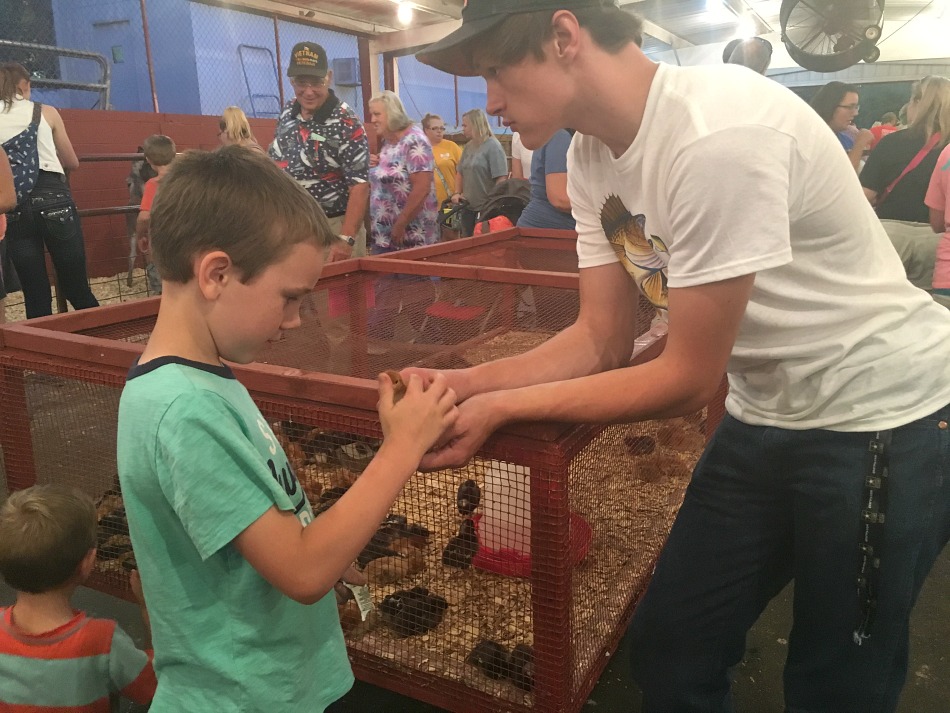 A Day In The Life: The 2016 Appalachian Fair | Growing Up Herbal | Come check out another one of our yearly family traditions! This time, we're hitting the Appalachian Fair for food, fun, and farm animals!