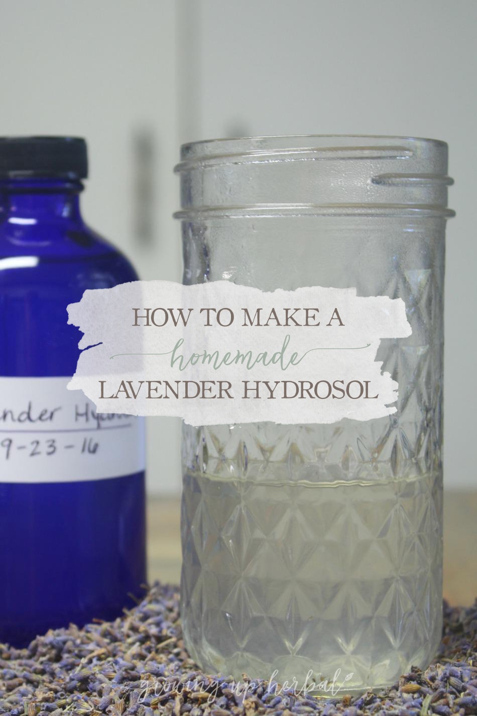 Homemade Lavender Hydrosol Tutorial | Growing Up Herbal | Learn how to make and use a homemade lavender hydrosol for better health!