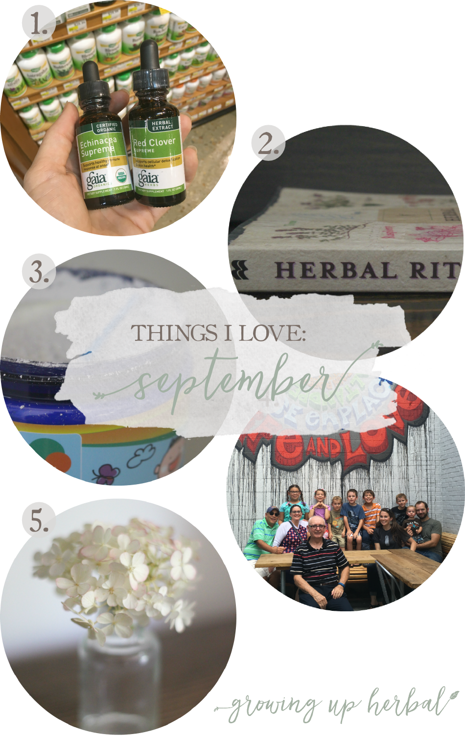 Things I Love: September 2016 | Growing Up Herbal | Here are 5 things I've loved in September 2016!