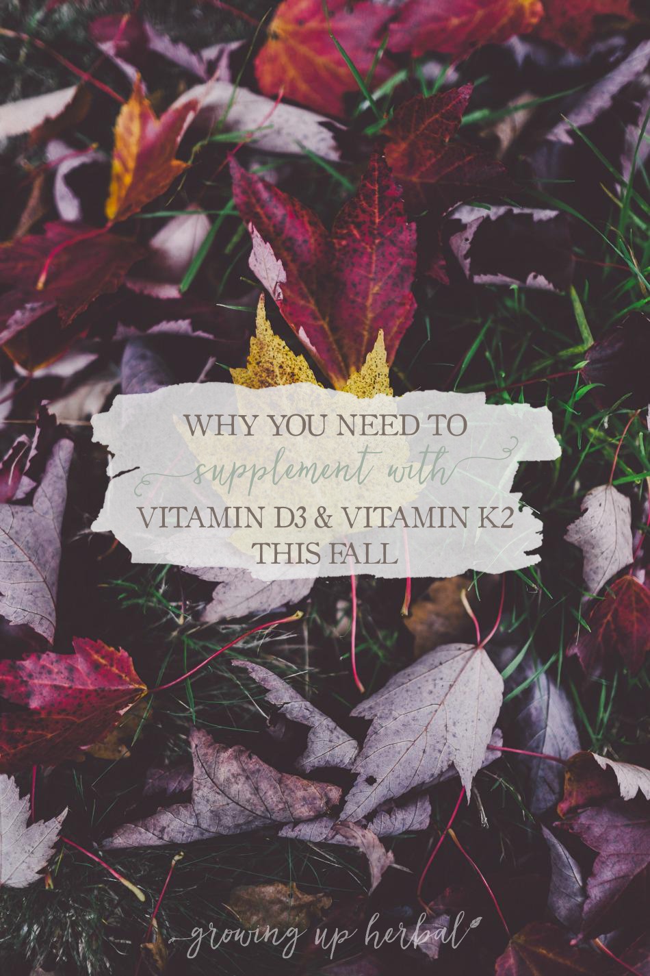 Why You Need To Supplement With Vitamin D3 And Vitamin K2 This Fall | Growing Up Herbal | Wanna keep your kid health this fall? You may need to add in a vitamin d3/k2 supplement. Here's why.