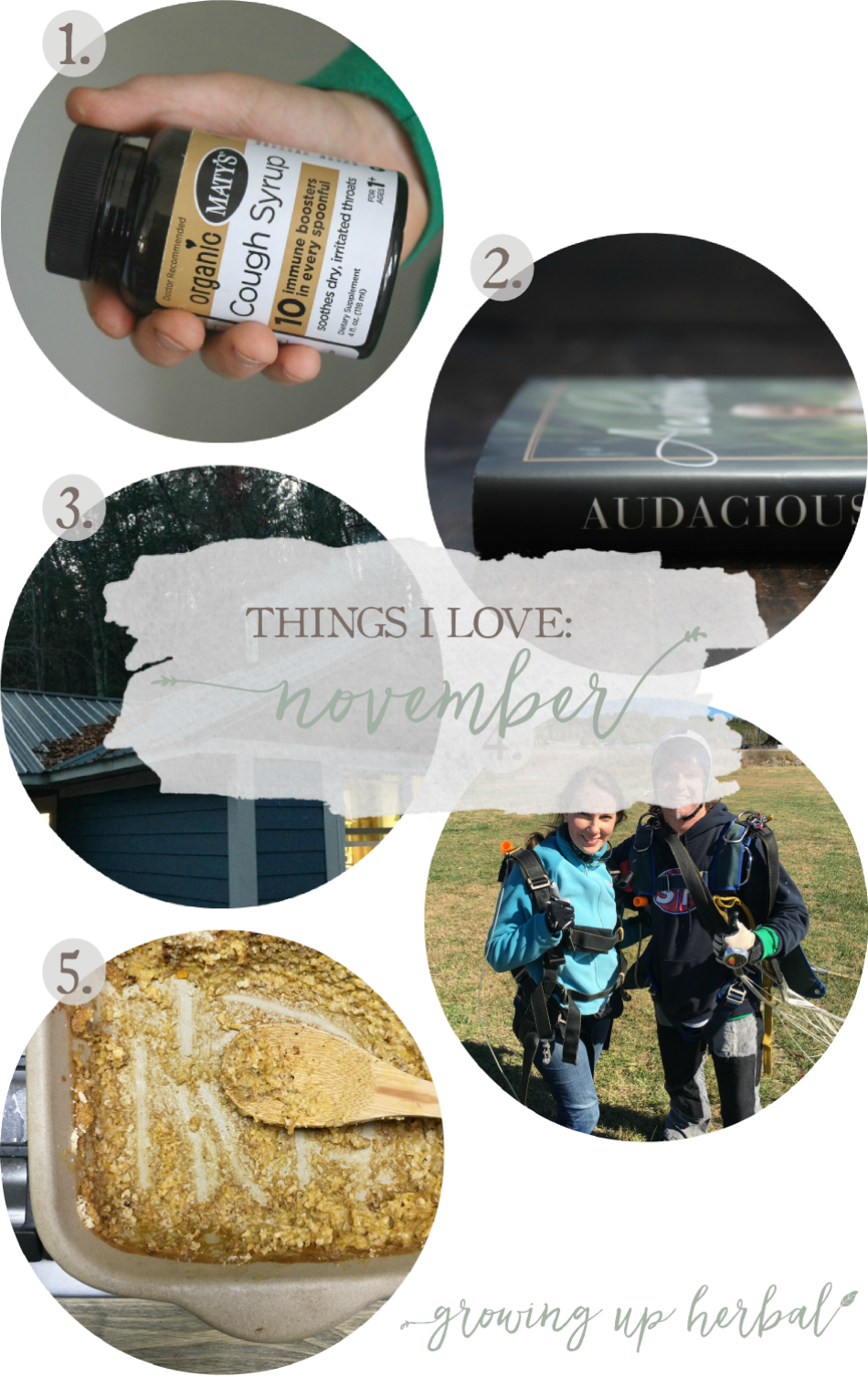 Things I Love: November 2016 | Growing Up Herbal | Here's a list of some of my favorite natural living products, foods, books, memories, and more from November 2016.