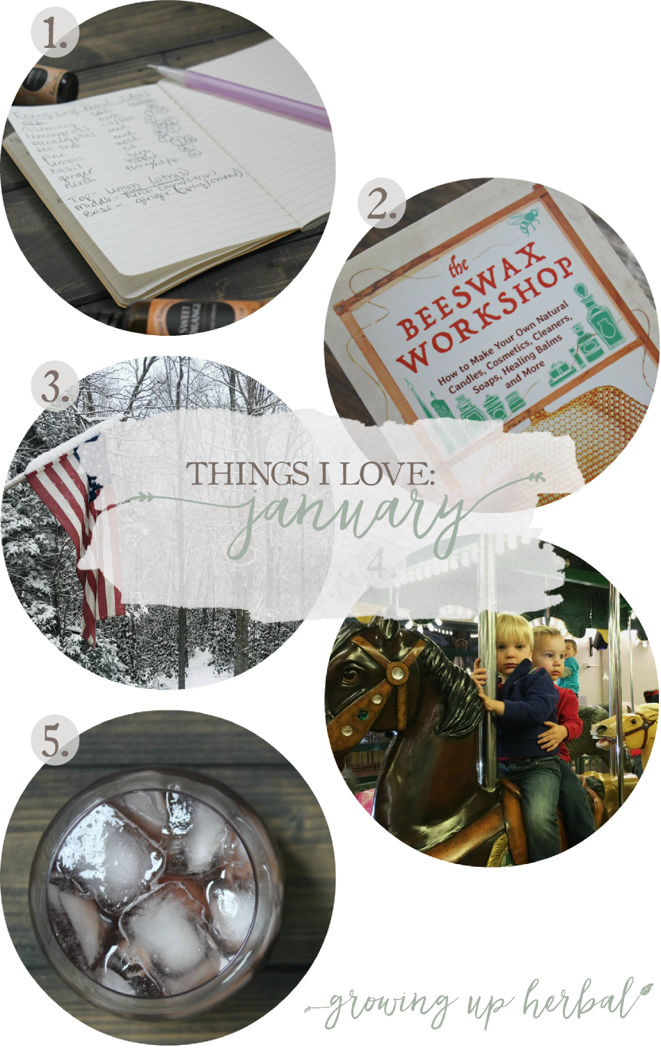 Things I Love: January 2017 | Growing Up Herbal | I'm sharing some more of my favorite things from January 2017... including essential oil blends, using leftover herbs from elderberry syrup, a blogger friends newest book, and more. Check it out!