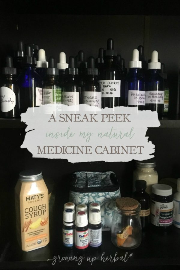 A Sneak Peek Inside My Natural Medicine Growing Up Herbal