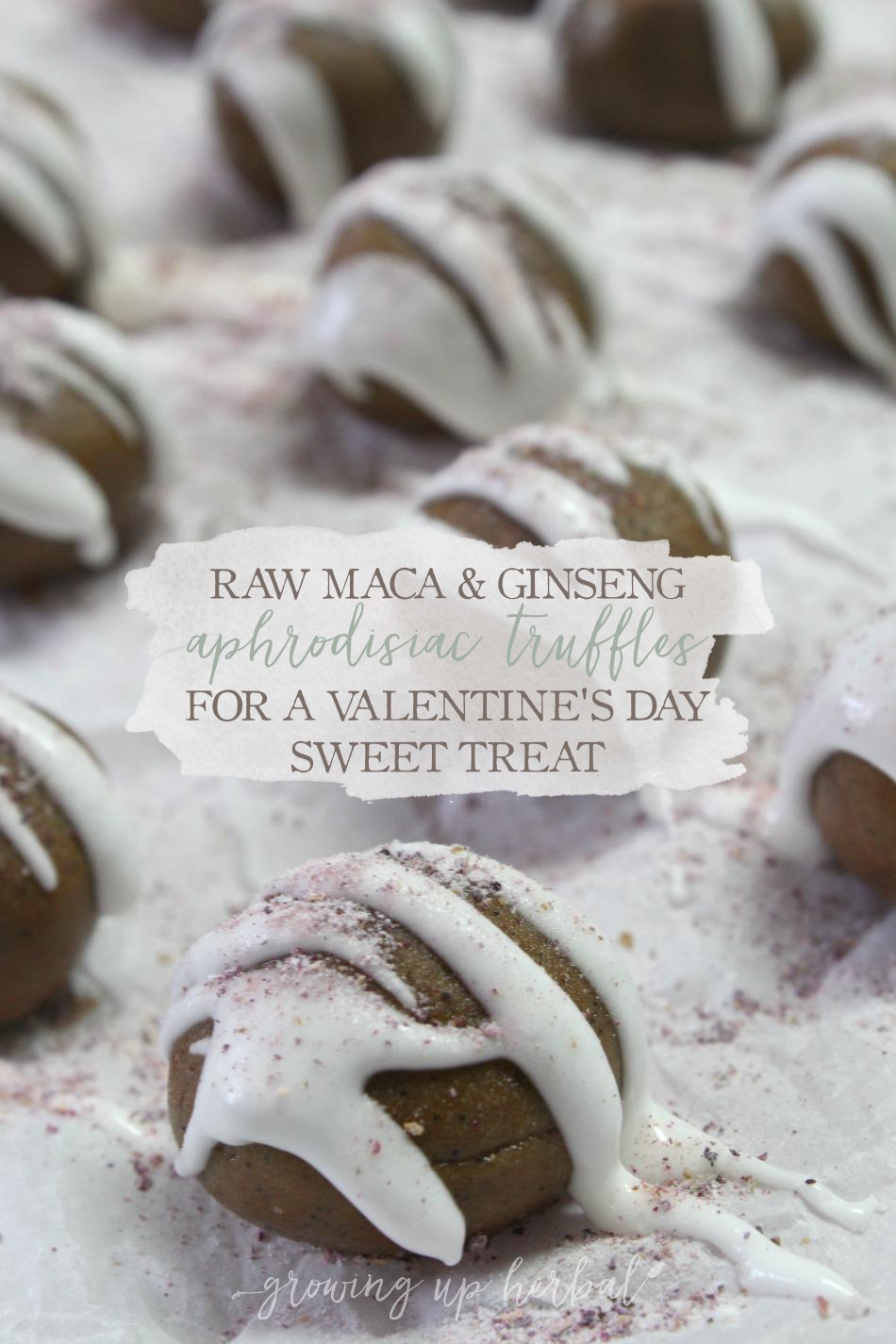 Raw Maca & Ginseng Aphrodisiac Truffles For A Valentine's Day Treat | Growing Up Herbal | Try these delicious, sweet, and healthy herbal aphrodisiac truffles this Valentine's Day. Perfect for dessert or to accompany a thoughtful gift!