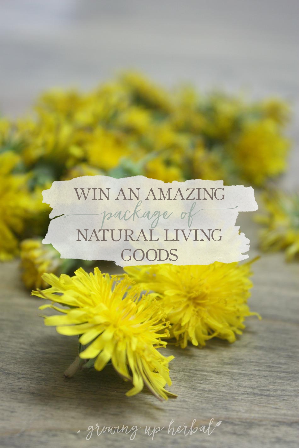 Win An Amazing Package of Natural Living Goods | Growing Up Herbal | What happens when 3 herbalists and a chiropractor plan a giveaway together? Find out here!