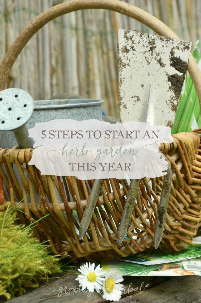 5 Steps to Start an Herb Garden This Year | Growing Up Herbal | Learn how to start an herb garden in 5 steps... from start to finish in this blog post!