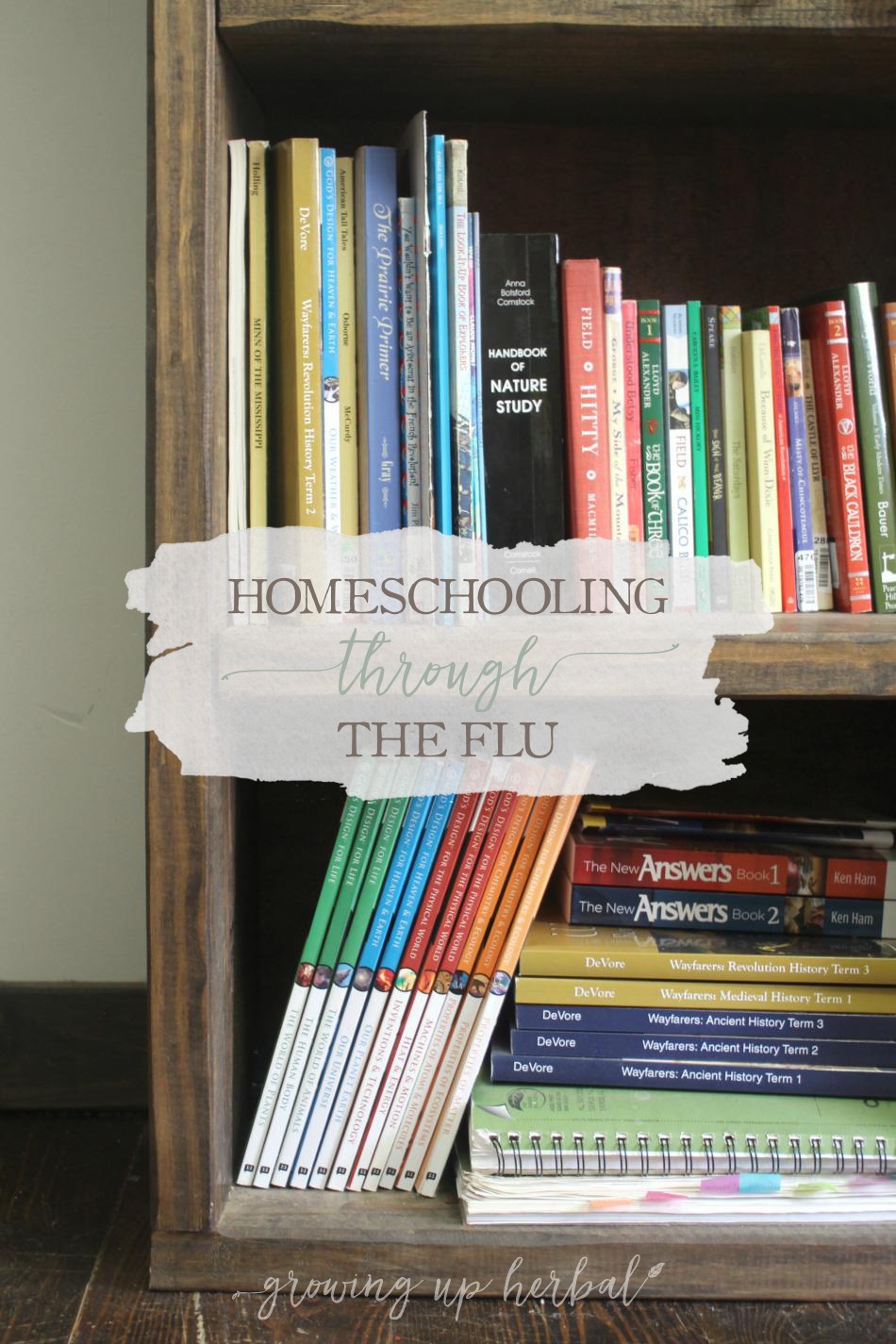 Homeschooling Through The Flu | Growing Up Herbal | Here are some things to do to help your family recover while homeschooling through the flu.