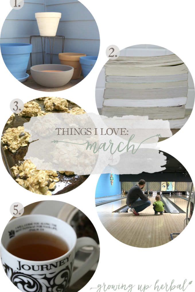 Things I Love: March 2017 | Growing Up Herbal | Some things I loved in March were an herbal tea for healthy veins, starting my 2017 reading challenge, celebrating St. Patrick's Day, healthy breakfast cookies, and painting planters for spring plants! Come check it out!