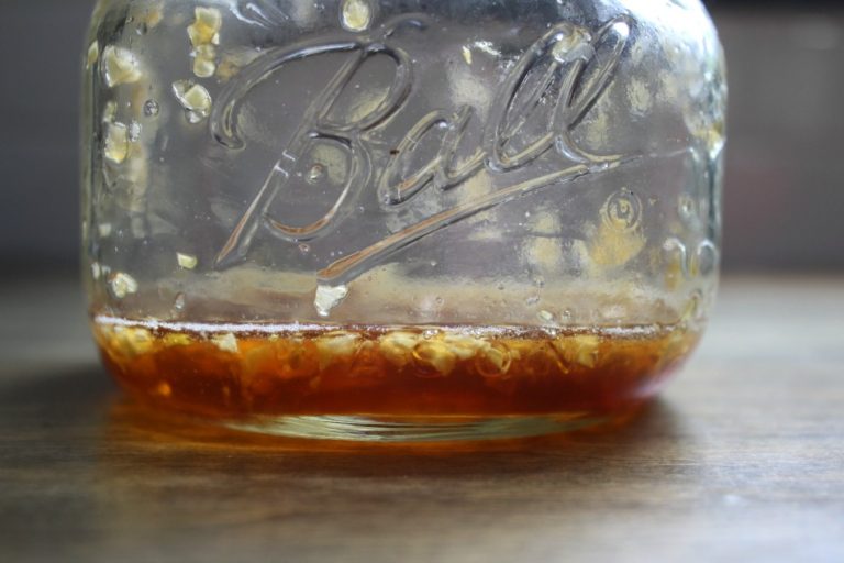 How To Make And Use Garlic Honey (or Syrup) Growing Up Herbal