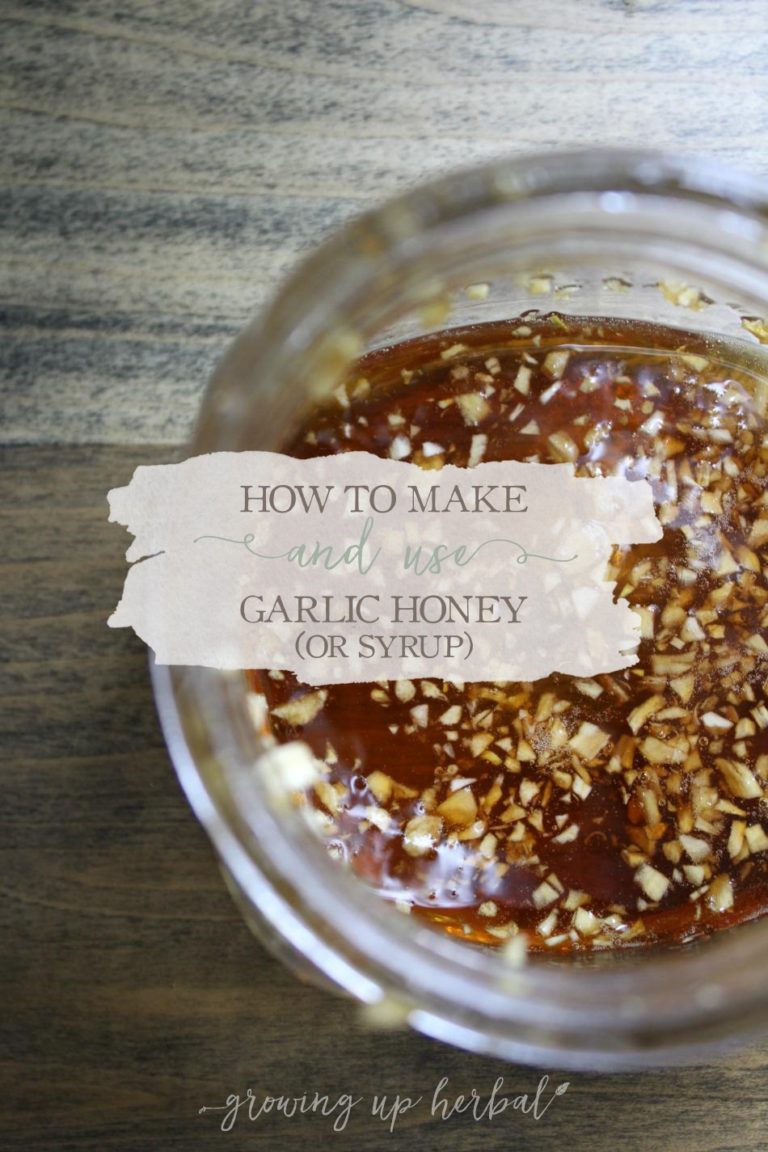 How To Make And Use Garlic Honey (or Syrup) Growing Up Herbal