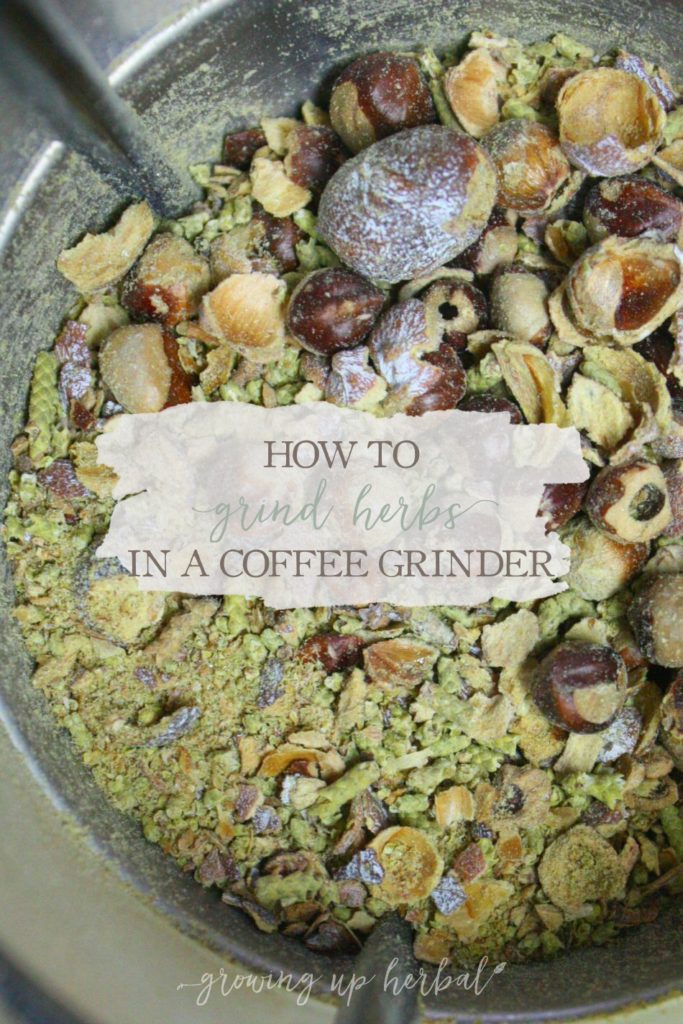 How To Grind Herbs In A Coffee Grinder Growing Up Herbal