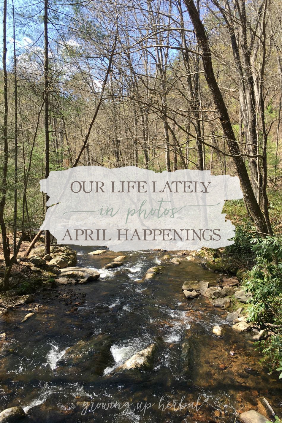 Our Life Lately In Photos: April Happenings | Growing Up Herbal | Come check out what life has been like for us this past April... through photos!