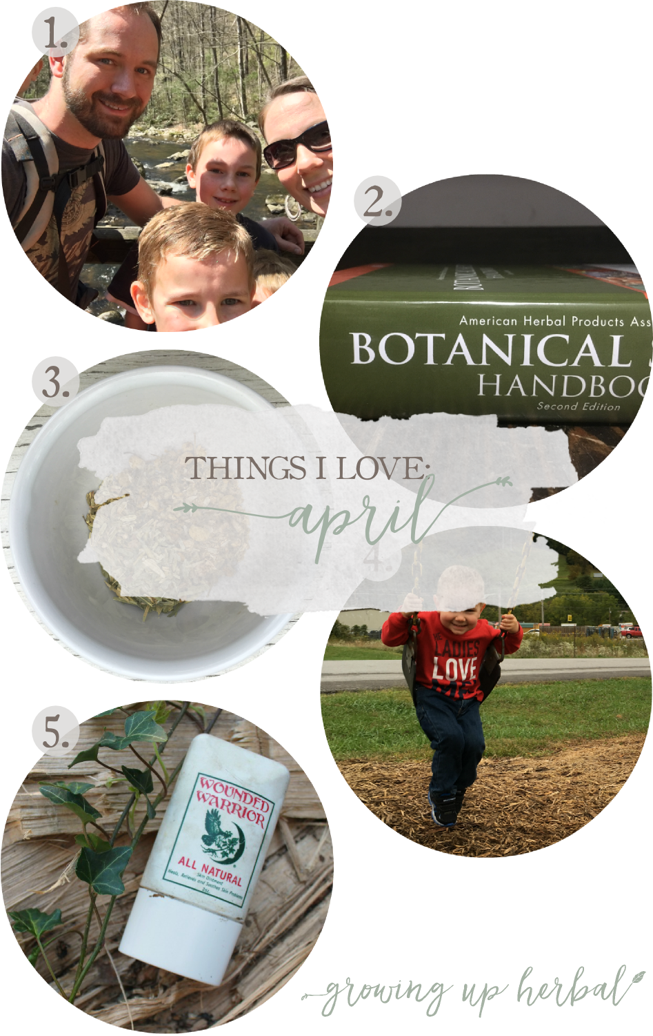 Things I Love: April 2017 | Growing Up Herbal | Some things I loved in April were woodland hikes, herbal books, herbal teas for school time, an herbal wound ointment, and more! Come check it out!