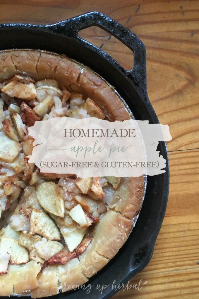 Homemade Apple Pie (Sugar-Free & Gluten-Free) | Growing Up Herbal | A tasty, healthy dessert that's perfect for any celebration!