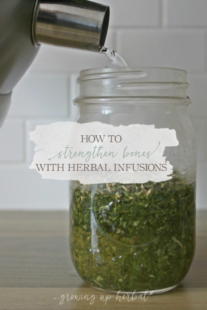 How To Strengthen Bones With Herbal Infusions - Growing Up Herbal