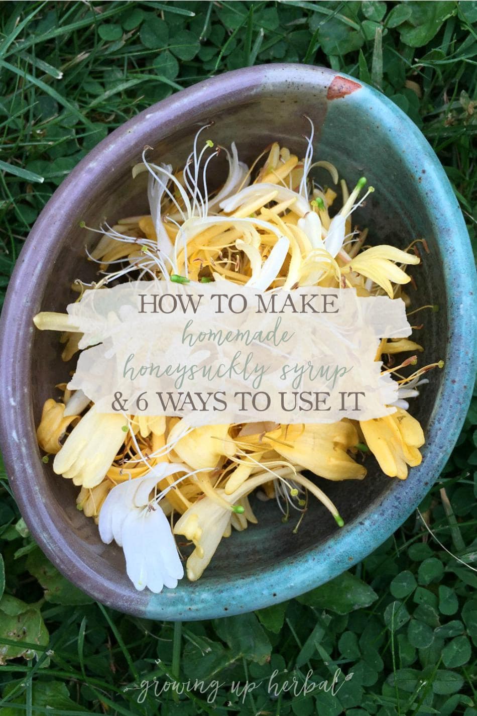 Homemade Honeysuckle Syrup & 6 Ways To Use It | Growing Up Herbal | Learn how to make a simple homemade honeysuckle syrup as well as 6 ways to use it! You've not experienced summer until you've had honeysuckle syrup!