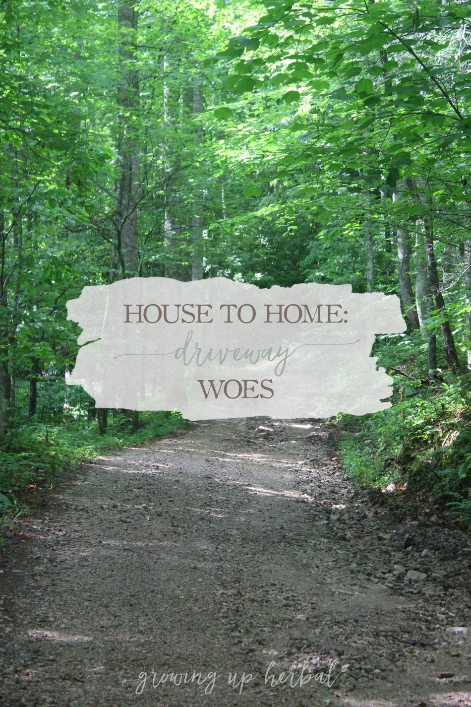 House To Home: Driveway Woes | Growing Up Herbal | I love my long mountain driveway, but there are times it causes problems. 