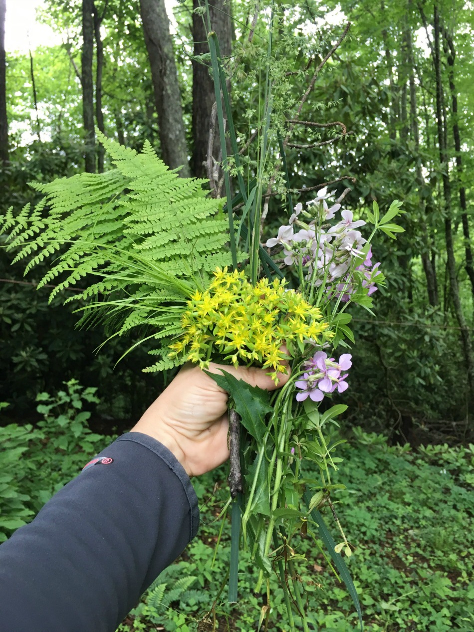 Mountain Moments | Growing Up Herbal | I'm sharing some of my favorite moments here on the mountain lately. Come check it out!