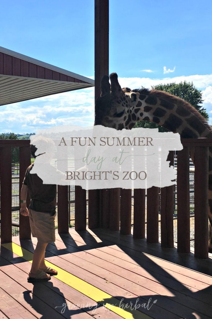 A Fun Summer Day At Bright's Zoo Growing Up Herbal