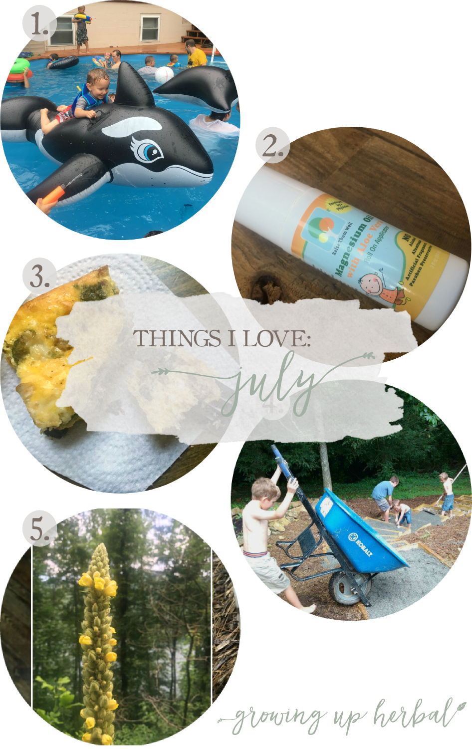 Things I Love: July 2017 | Growing Up Herbal | Cousin's Party 2017, summer foraging, breakfast recipes, and more. Here are 5 of my favorite things from this past month!
