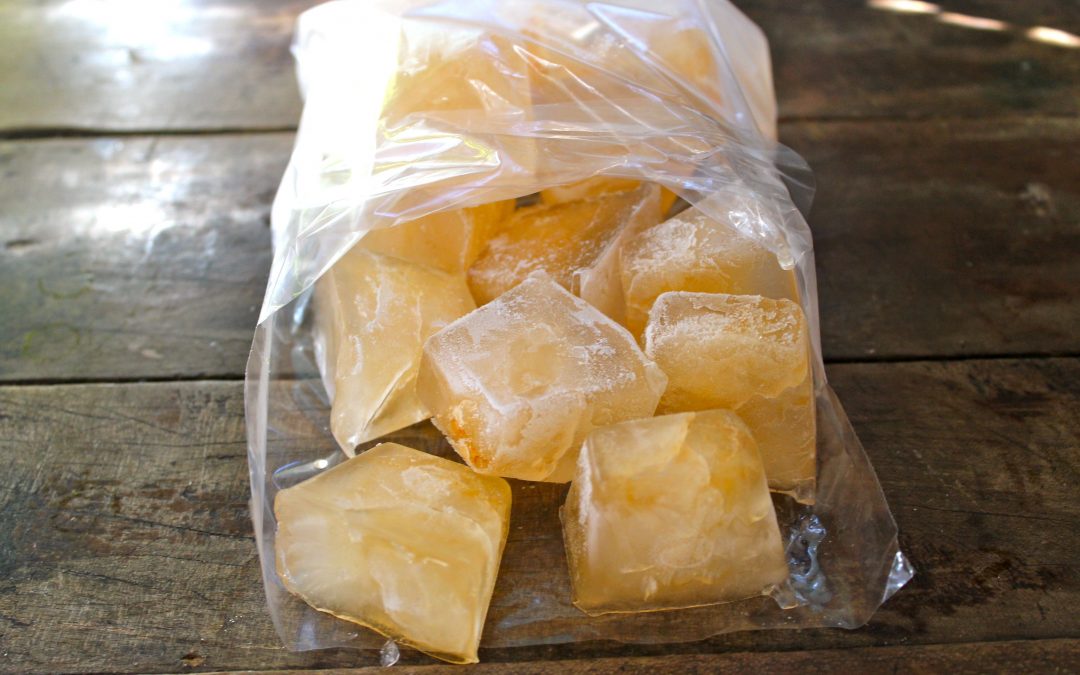 How To Preserve Jewelweed With Jewelweed Ice Cubes | Growing Up Herbal | Be prepared for poison oak or ivy rashes, even in the dead of winter with these jewelweed ice cubes. You'll be so glad to have them on hand!