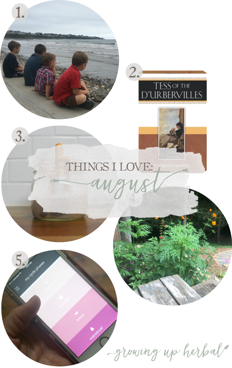 Things I Love: August 2017 | Growing Up Herbal | Maine vacations, wildflower gardens, period trackers, makeup brush cleaner, and classic books are some of the things I loved this past August!