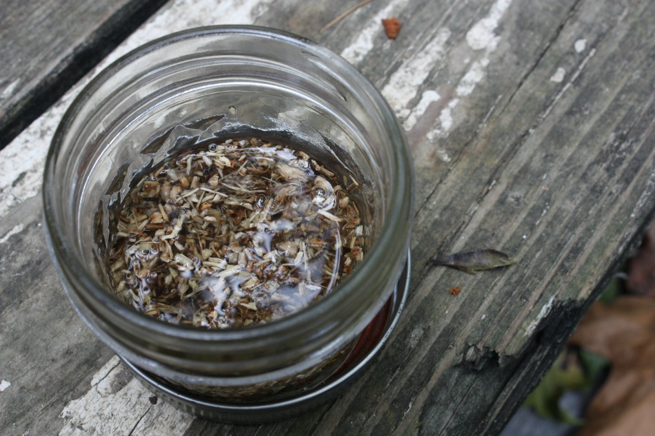 Lunar Tinctures 101 | Growing Up Herbal | There are many different ways to make tinctures, and one of those ways is to make what’s called a lunar tincture. Learn today how to make your own!