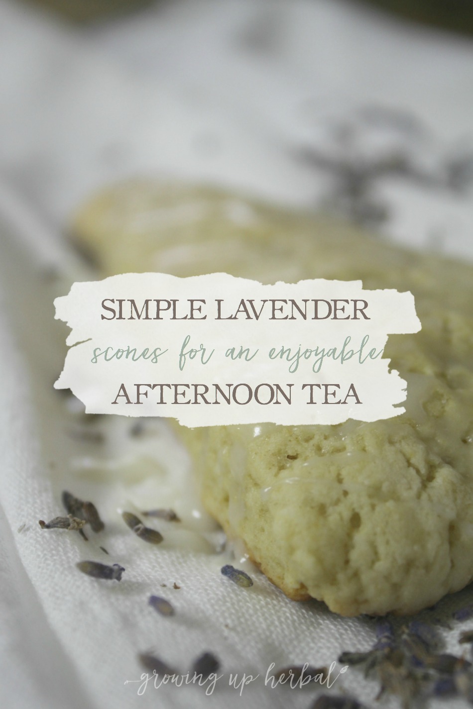 Simple Lavender Scones for an Enjoyable Afternoon Tea | Growing Up Herbal | These tasty lavender scones are easy to make and are a perfect treat for afternoon tea!