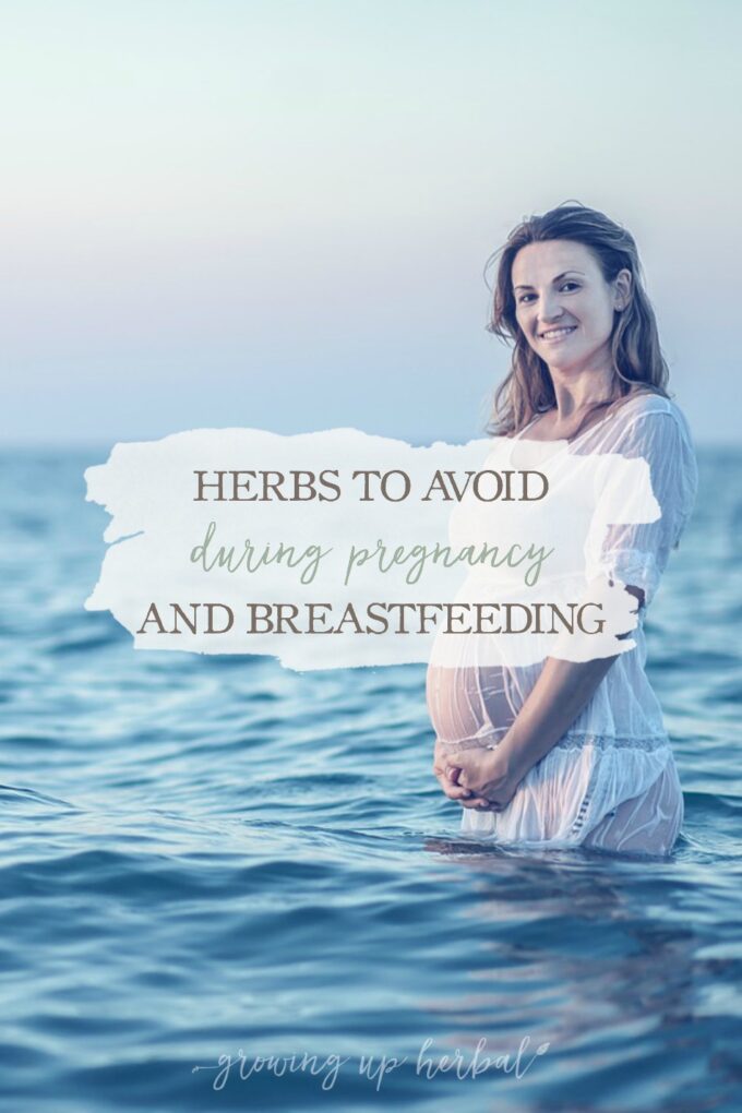 Herbs To Avoid During Pregnancy & Breastfeeding Growing Up Herbal