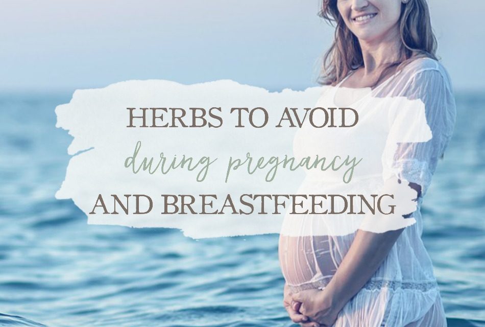 herbs-to-avoid-during-pregnancy-breastfeeding-growing-up-herbal