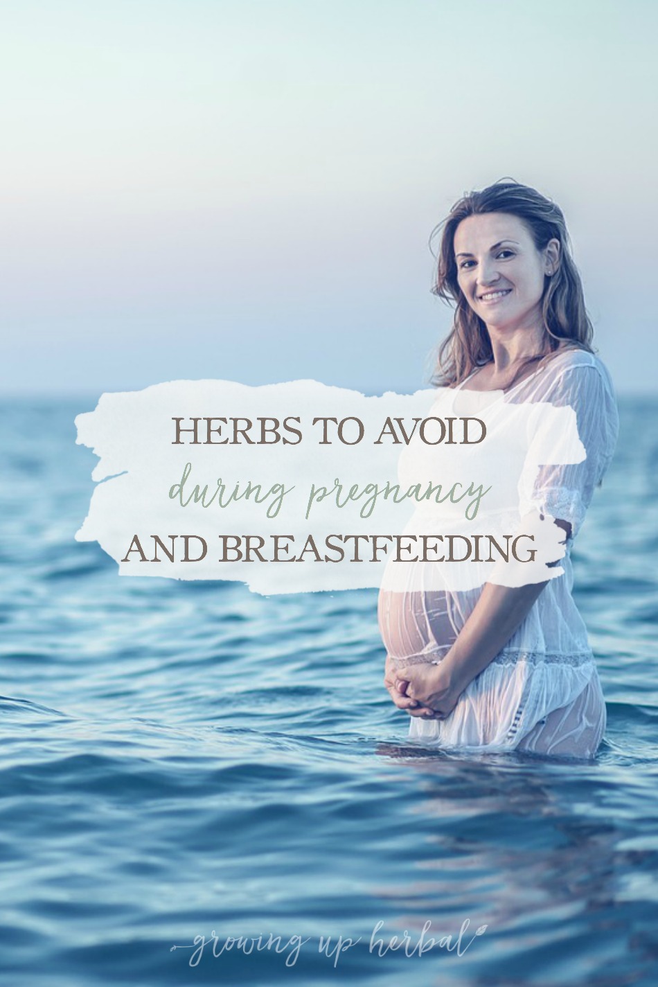 Herbs To Avoid During Pregnancy & Breastfeeding | Growing Up Herbal | Are you wondering about herbal safety during pregnancy and breastfeeding? Here's several herbs to avoid during pregnancy, as well as a few that are safe.