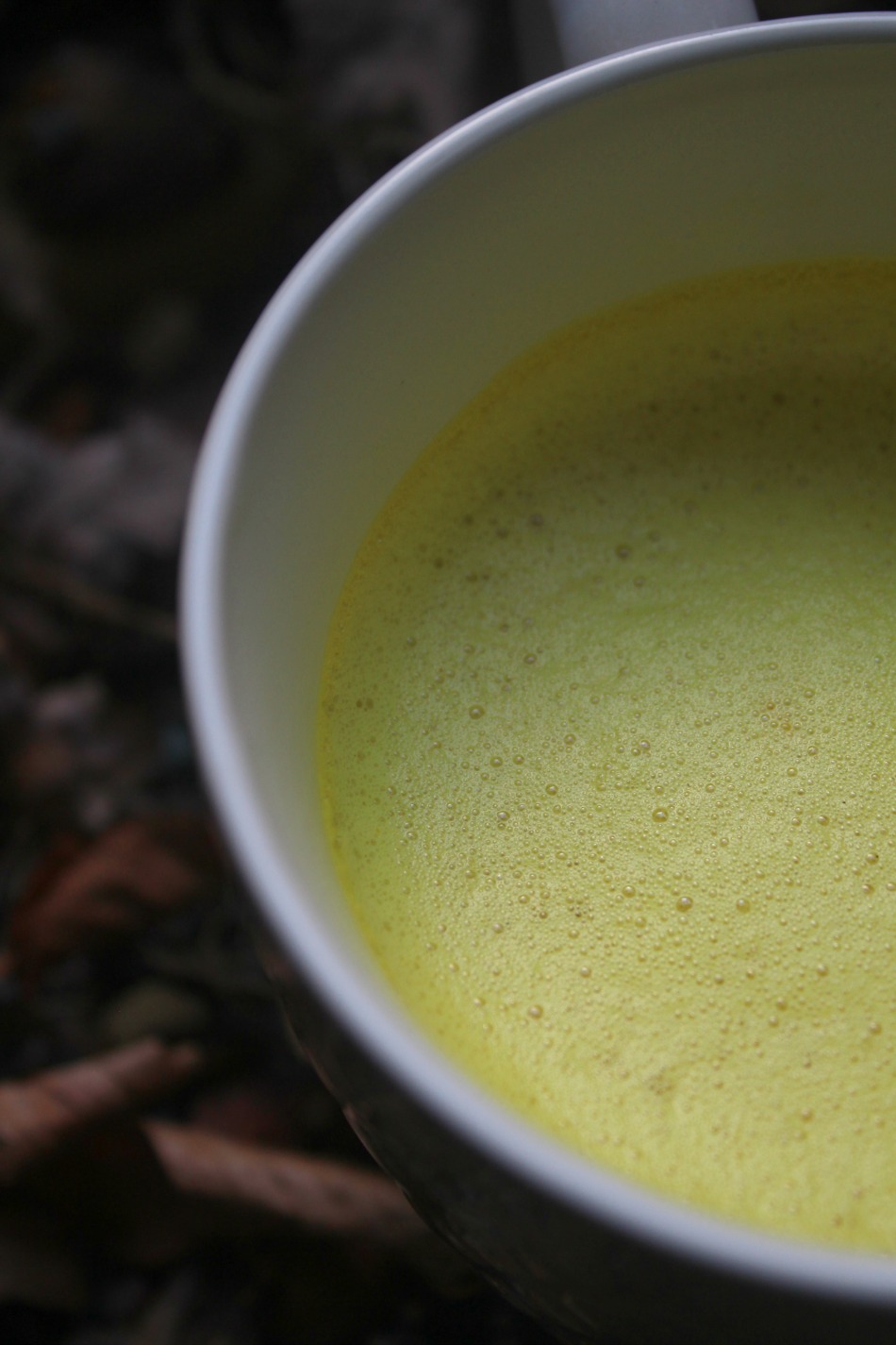 Autumn Inspired Golden Milk: A New Fall Twist On A Classic Favorite | Growing Up Herbal | If you enjoy fall flavors like I do, you will love this delicious autumn inspired golden milk recipe! It's a new twist on a favorite classic recipe.