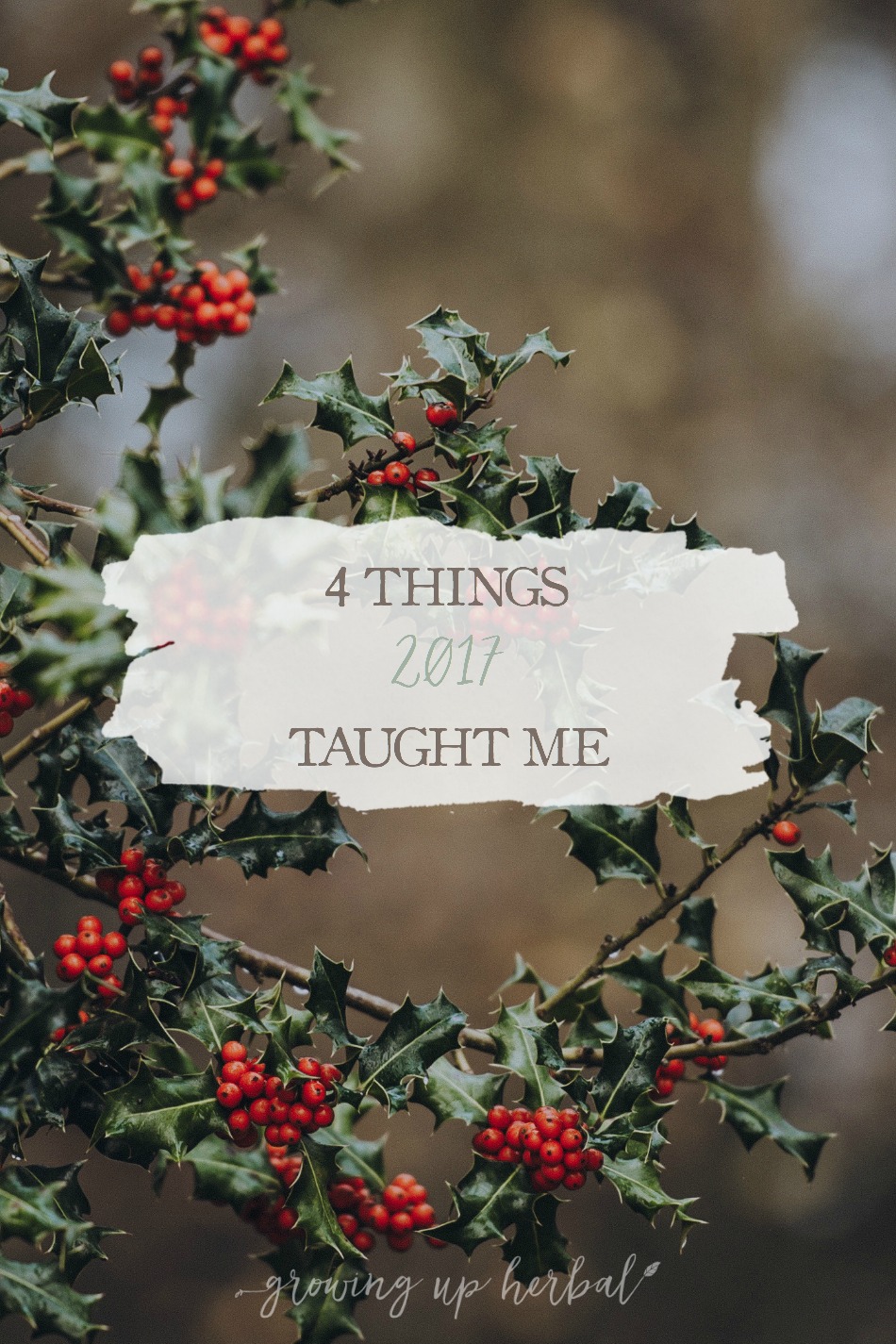 4 Things 2017 Taught Me | Growing Up Herbal | Being mindful and learning from our successes and failures is an important part of living. Here, I’m sharing four life lessons I learned in 2017.