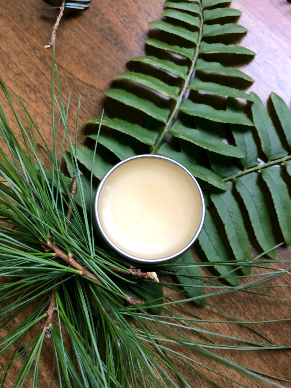DIY Woodland Botanical Perfume For Holiday Gift-Giving | Growing Up Herbal | A thoughtful holiday gift to remind friends and family of the forest in winter.