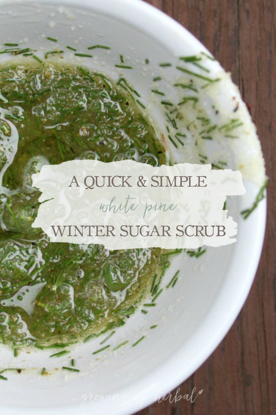 A Quick & Simple White Pine Winter Sugar Scrub | Growing Up Herbal | Nourish dry winter skin with this easy to make white pine winter sugar scrub. 