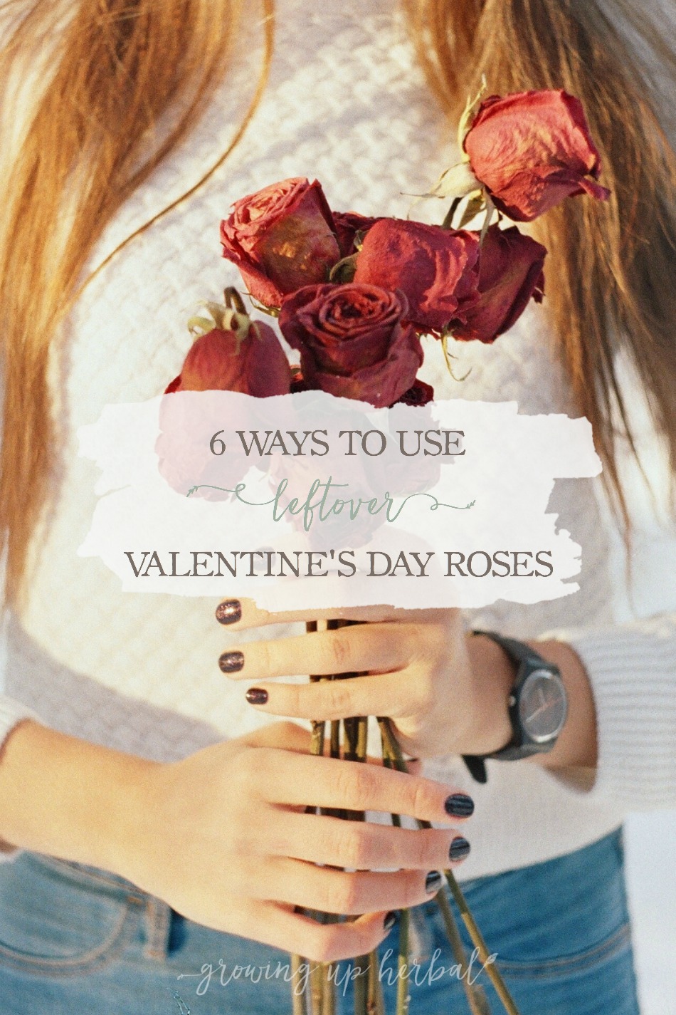 6 Ways To Use Leftover Valentine’s Day Roses | Growing Up Herbal | Don’t throw your roses away after Valentine’s Day. Here are some ways to put leftover Valentine’s Day roses to good use!