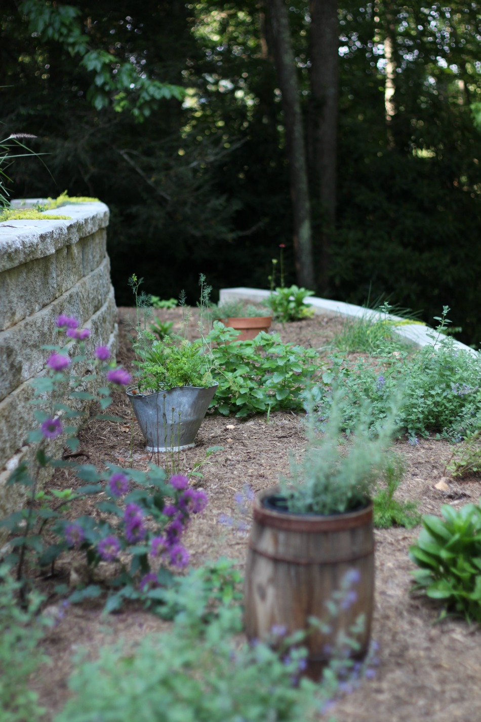 Life Lately: Summer Gardens | Growing Up Herbal | Take a tour of my brand new summer gardens and see how our landscaping project turned out this year.