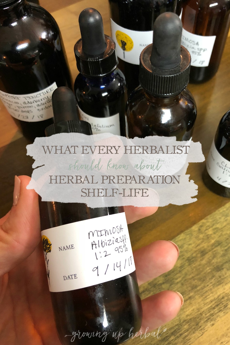 What Every Herbalist Should Know About Herbal Preparation Shelf-Life | Growing Up Herbal | Wondering if that salve, tincture, hydrosol, or other herbal preparation is still good? Here’s what you need to know about herbal preparation shelf-life. Free printable included!!