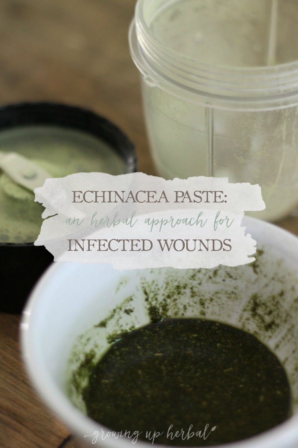Echinacea Paste: An Herbal Approach For Infected Wounds | Growing Up Herbal | Echinacea is a well-known herbal ally for venomous animal and insect bites and stings as well as infected wounds. Learn how to use it effectively for infections in this blog post!
