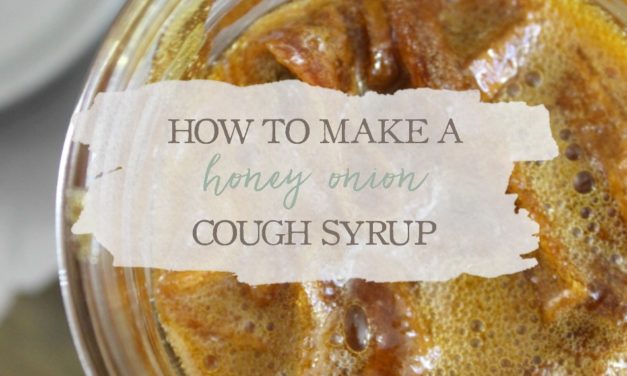 How to Make a Simple Honey Onion Cough Syrup | Growing Up Herbal | Cold and flu season will be here before you know it. Try this easy honey onion cough syrup for some quick support!