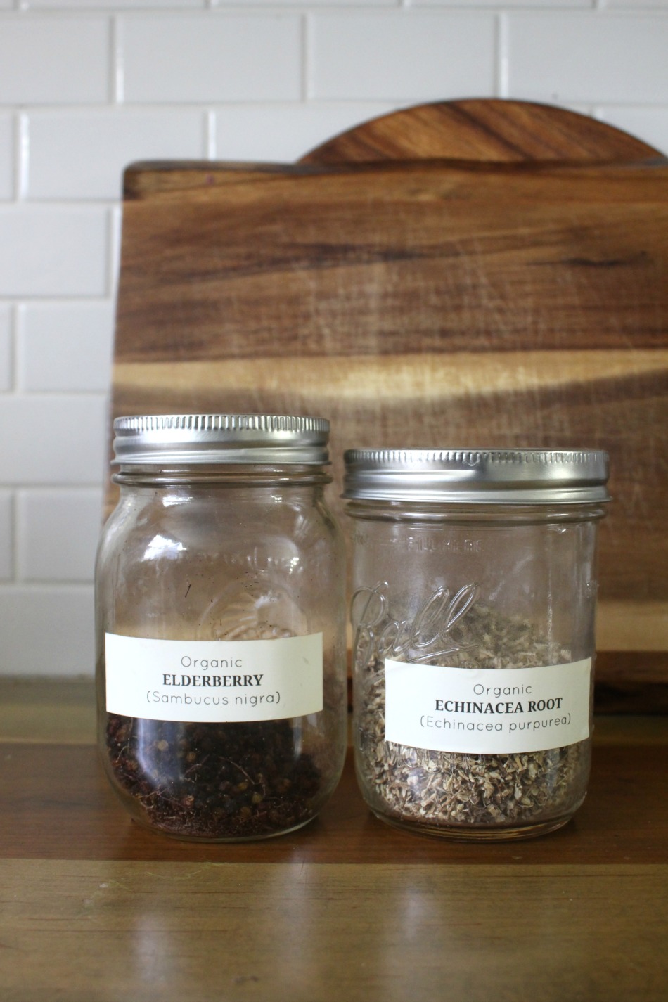 Echinacea Versus Elderberry For Cold & Flu Season | Growing Up Herbal | Learn more about echinacea versus elderberry — how they compare in action and how to use them as preventatives during cold and flu season.