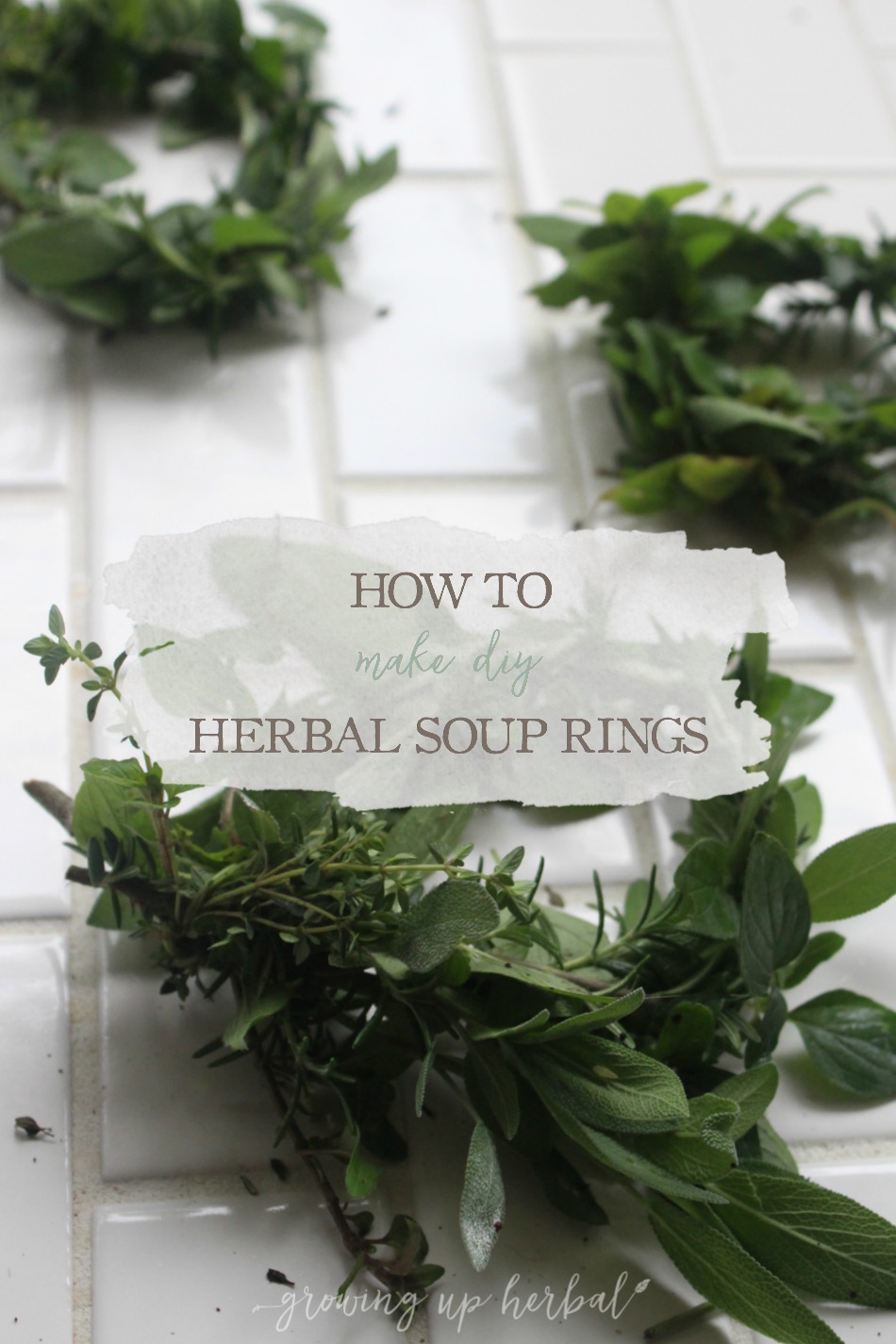 How To Make DIY Herbal Soup Rings | Growing Up Herbal | Take your water-based foods to the next level by using these herbal soup rings to amp up the flavor and nutritional benefits! Learn to make them in this post.