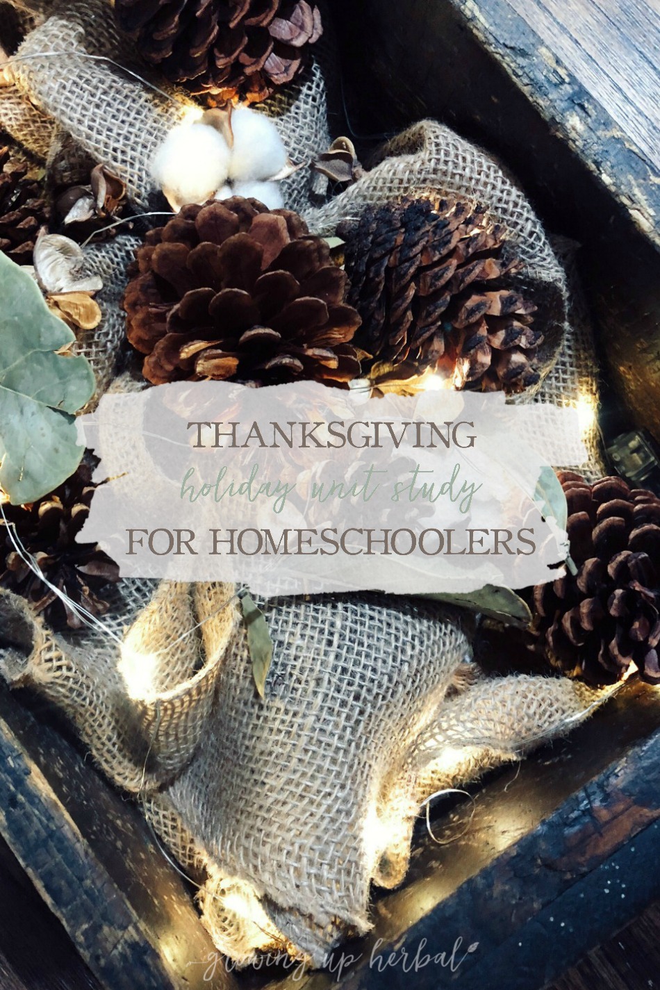 A Thanksgiving Holiday Unit Study for Homeschoolers | Growing Up Herbal | Here’s a quick, one week Thanksgiving holiday unit study that’s fun for homeschoolers.