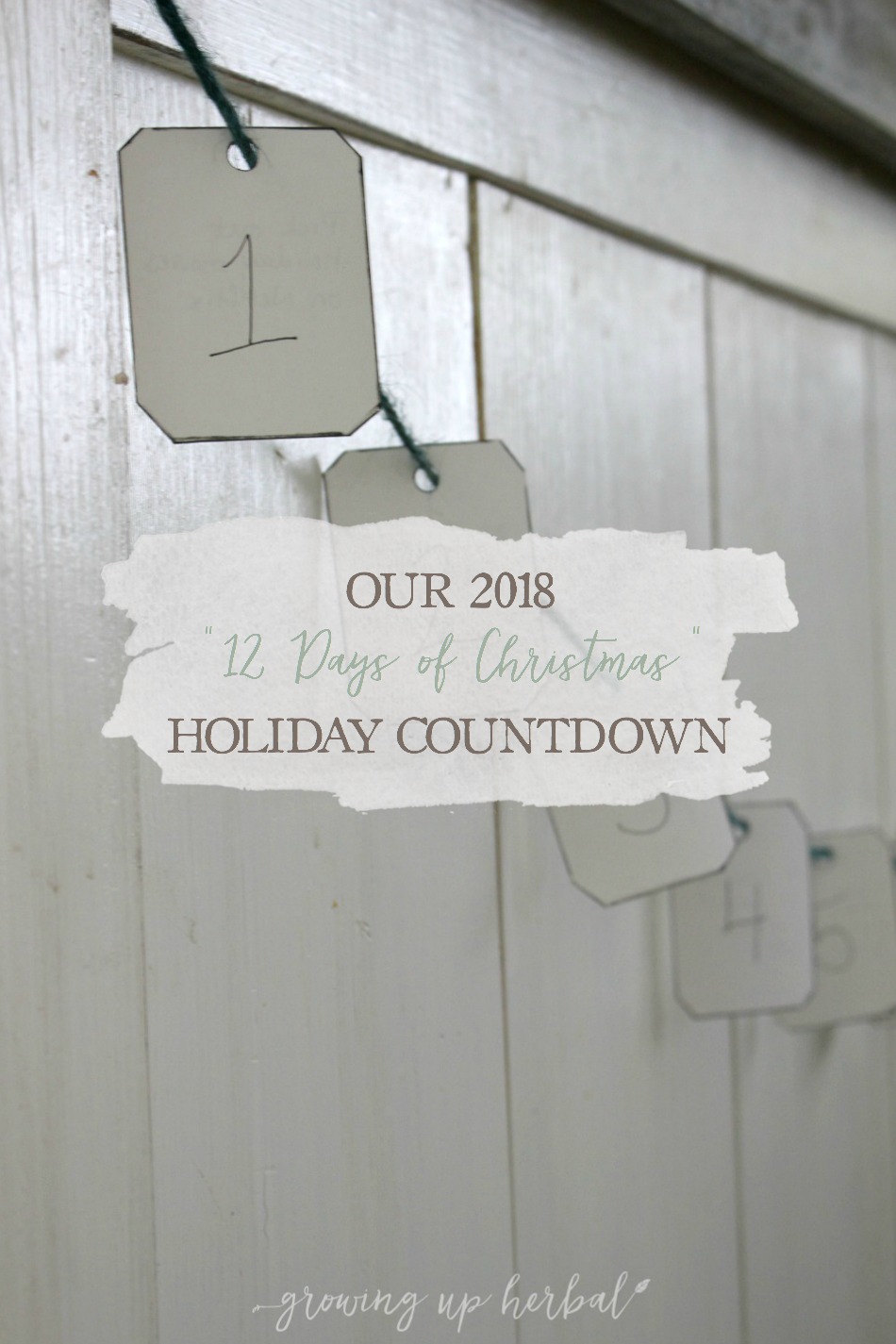 Our 2018 "12 Days of Christmas” Holiday Countdown | Growing Up Herbal | Checkout this 12 Days of Christmas holiday countdown, a shortened spinoff of a traditional Advent calendar. Learn how to make it and some example activities to include!