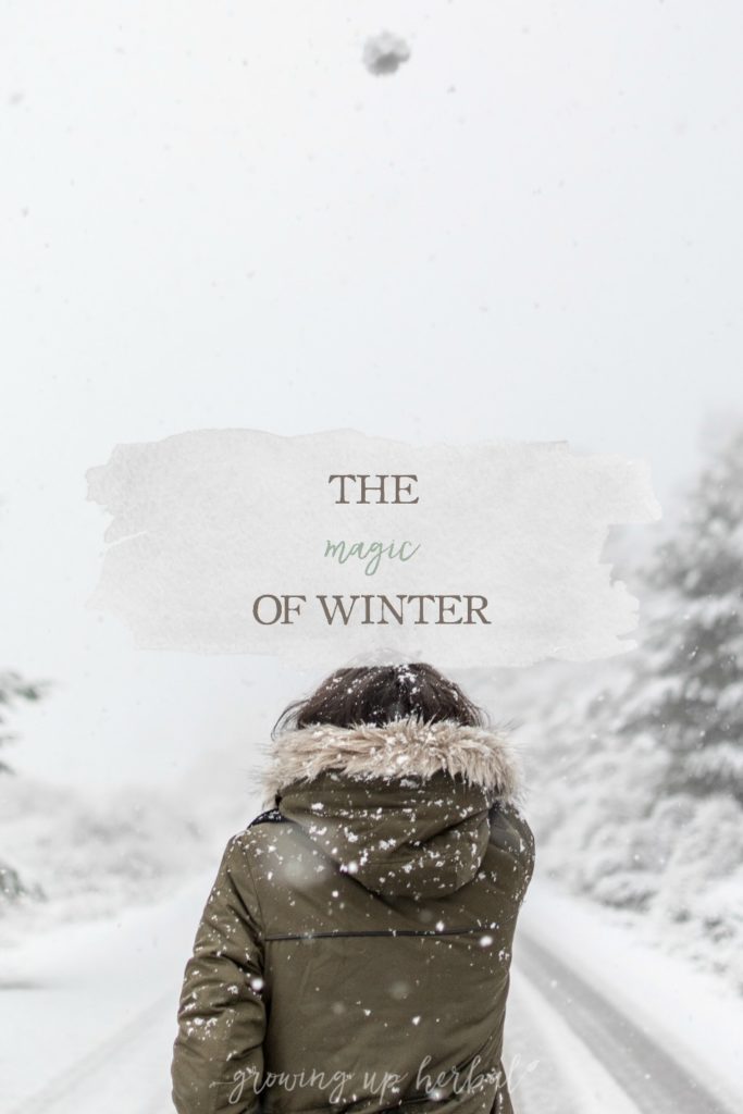 The Magic of Winter | Growing Up Herbal | Grab a cup of hot tea and stop by to read my thoughts on the magic of winter today!