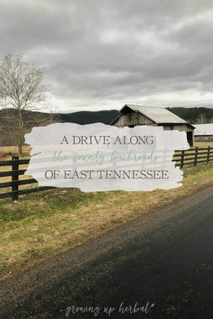 A Drive Along The County Backroads Of East Tennessee | Growing Up Herbal | Driving along the county backroads of East Tennessee is one of my favorite things to do on slow evenings.